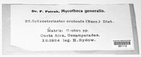 Schroeteriaster crotonis image